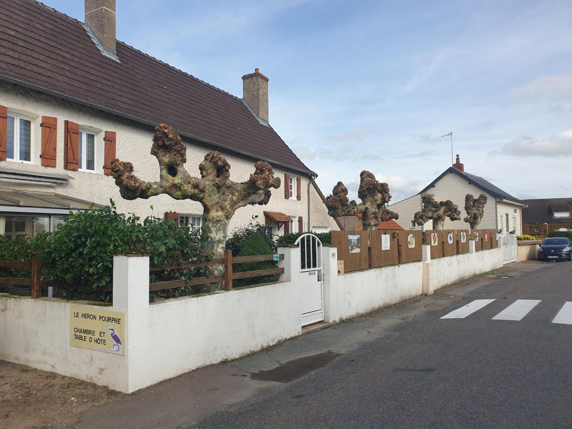 Le Heron Pourpre B&B Gastronomique Cronat Экстерьер фото